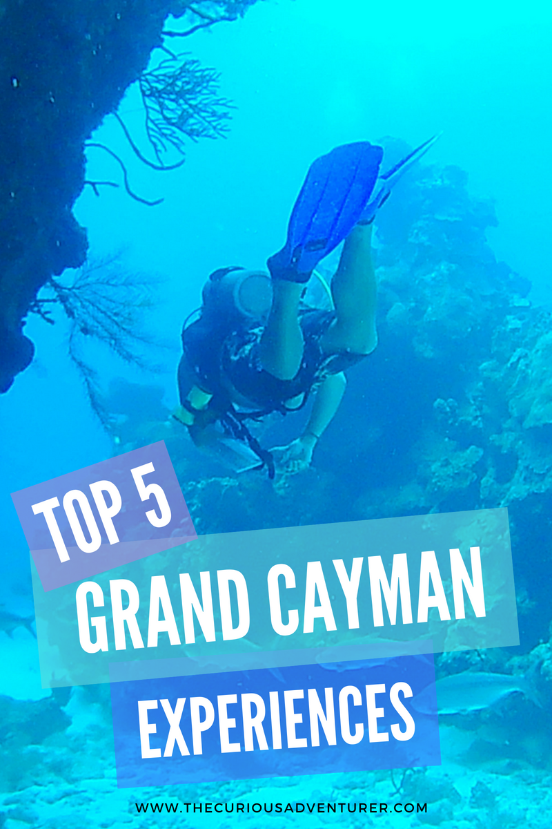 www.thecuriousadventurer.com:blog:top-5-grand-cayman-experiences.png