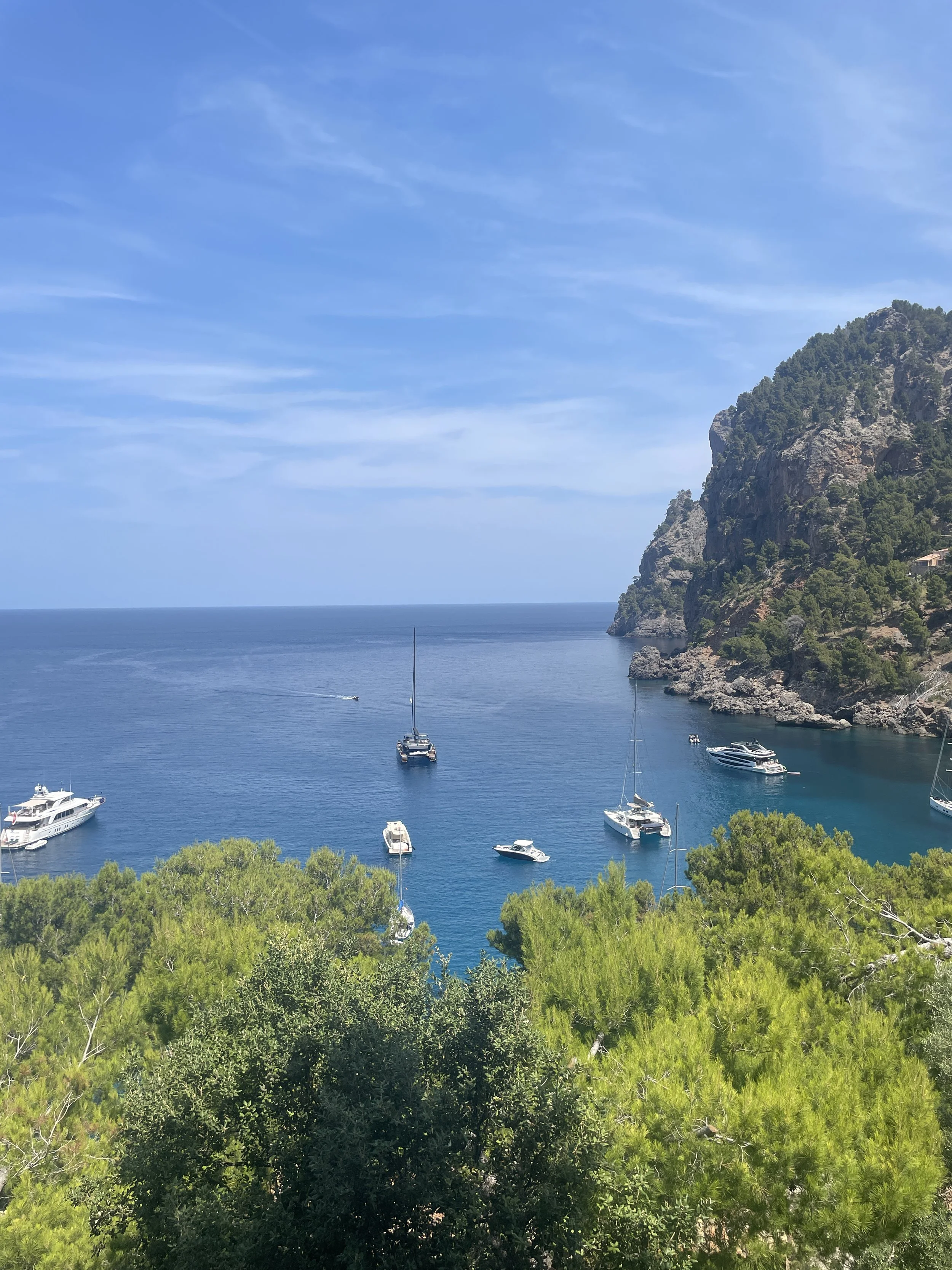 A scenic view of a bay with several boats anchored, surrounded by lush green trees and rocky hills under a clear blue sky.