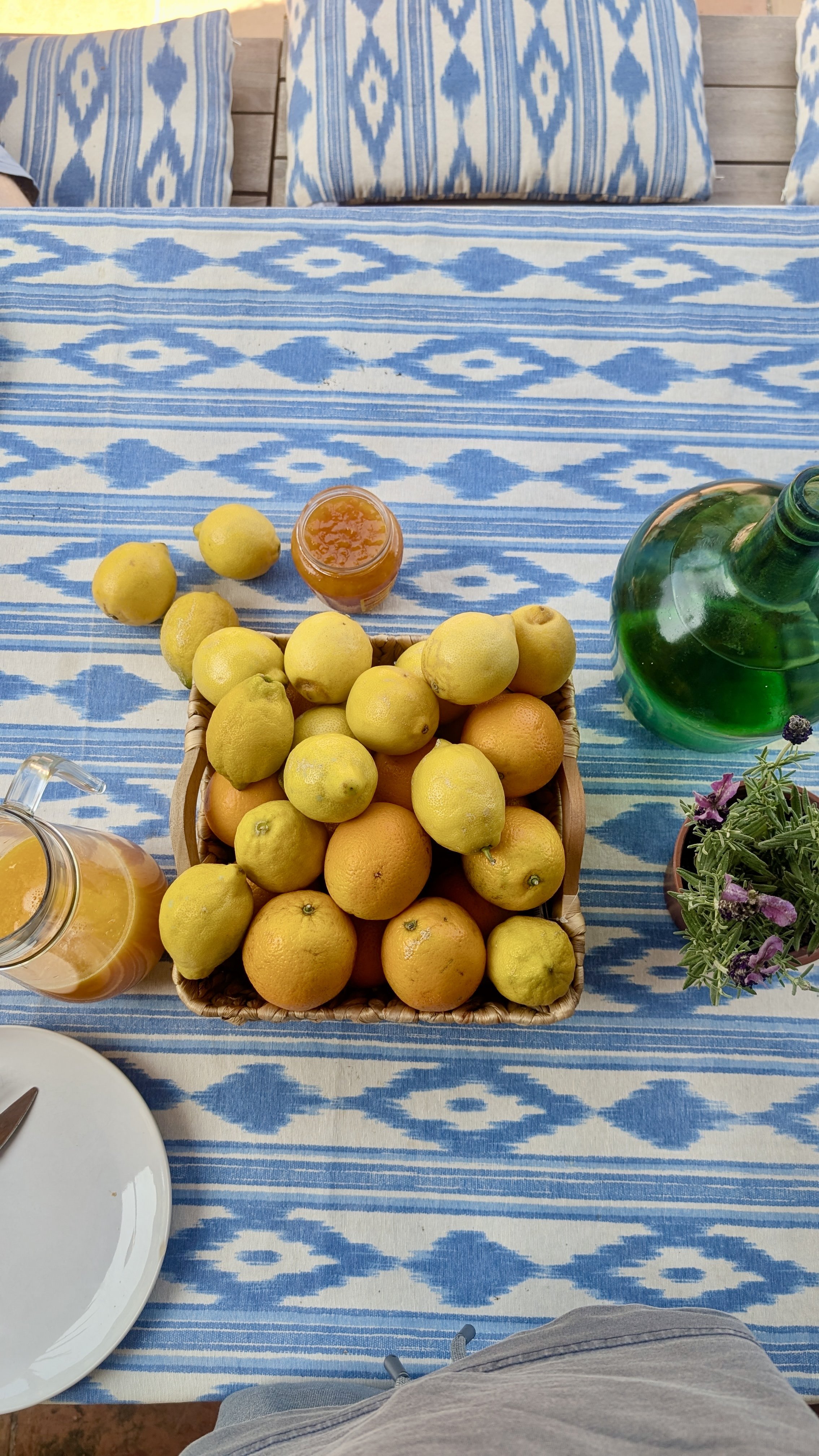A table with a blue-and-white patterned tablecloth, a basket of lemons and oranges, a jar of orange jam, a green glass bottle, a small potted plant with purple flowers, and a white plate with a spoon.