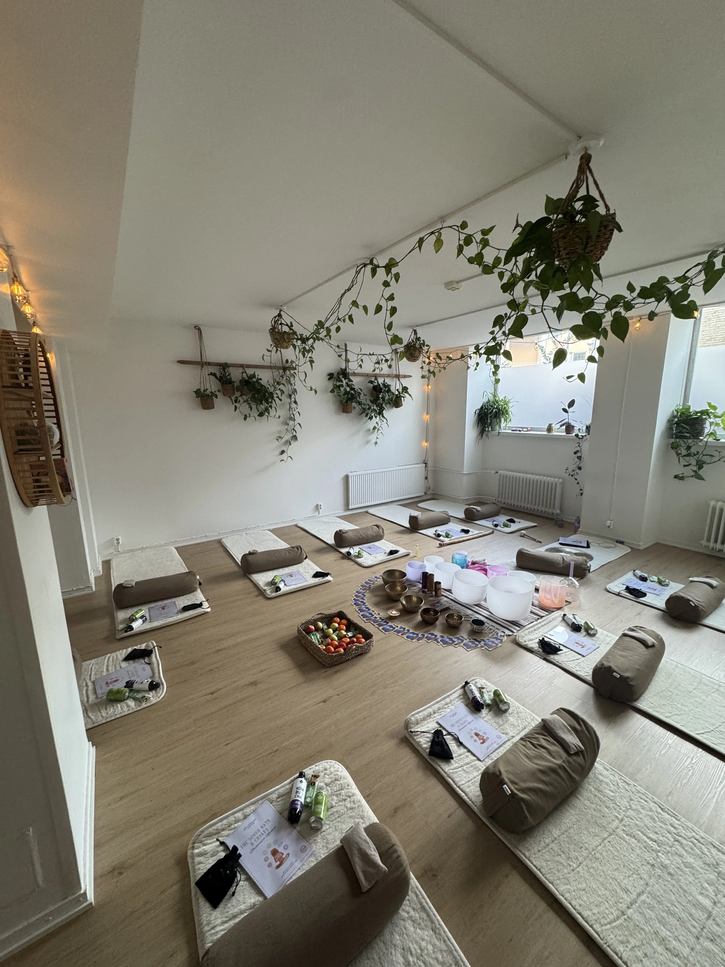 A meditation or yoga class setup with mats, bolsters, and supplies on a wooden floor in a bright, plant-decorated room.