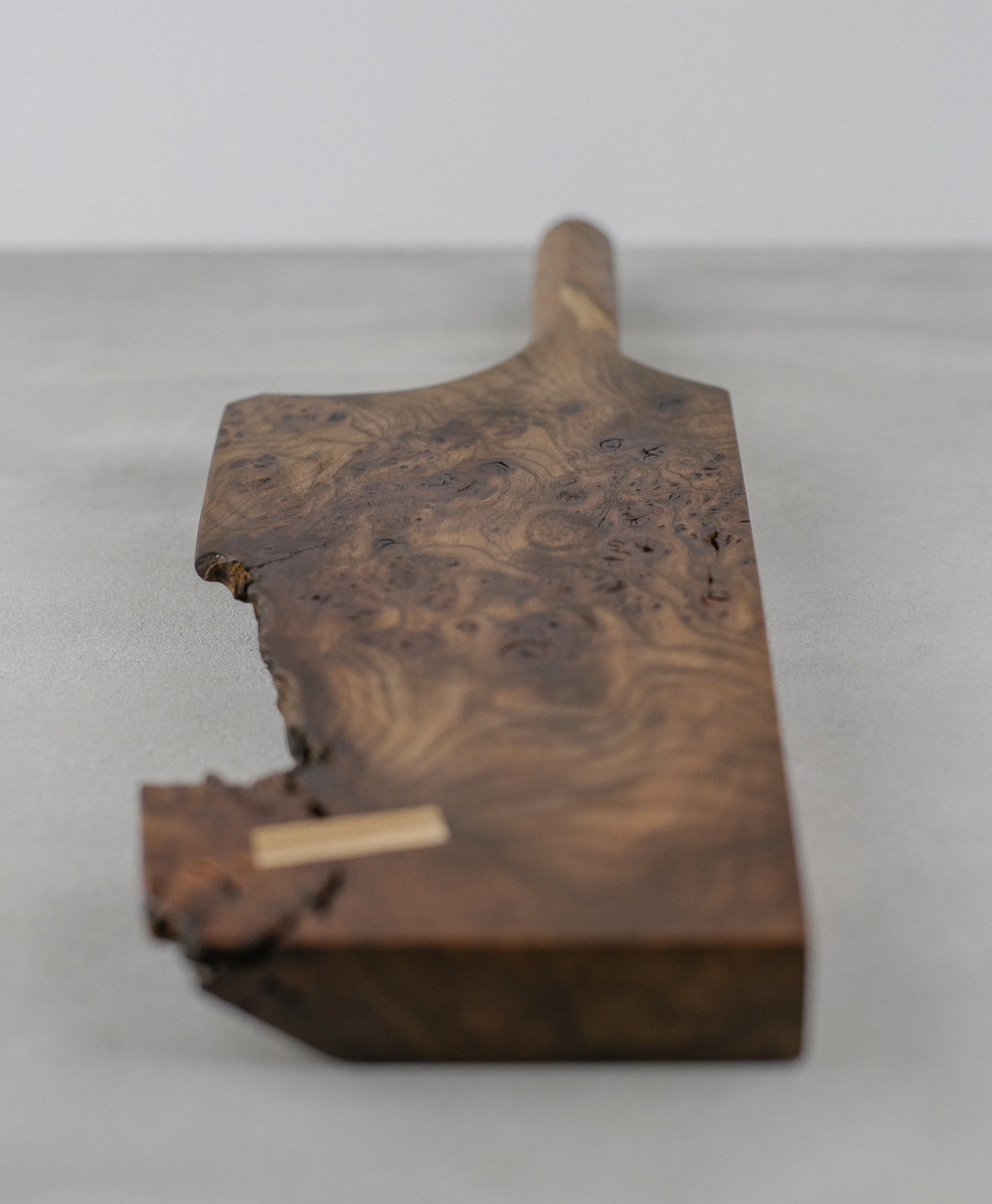 ash elm lp-2863.jpg