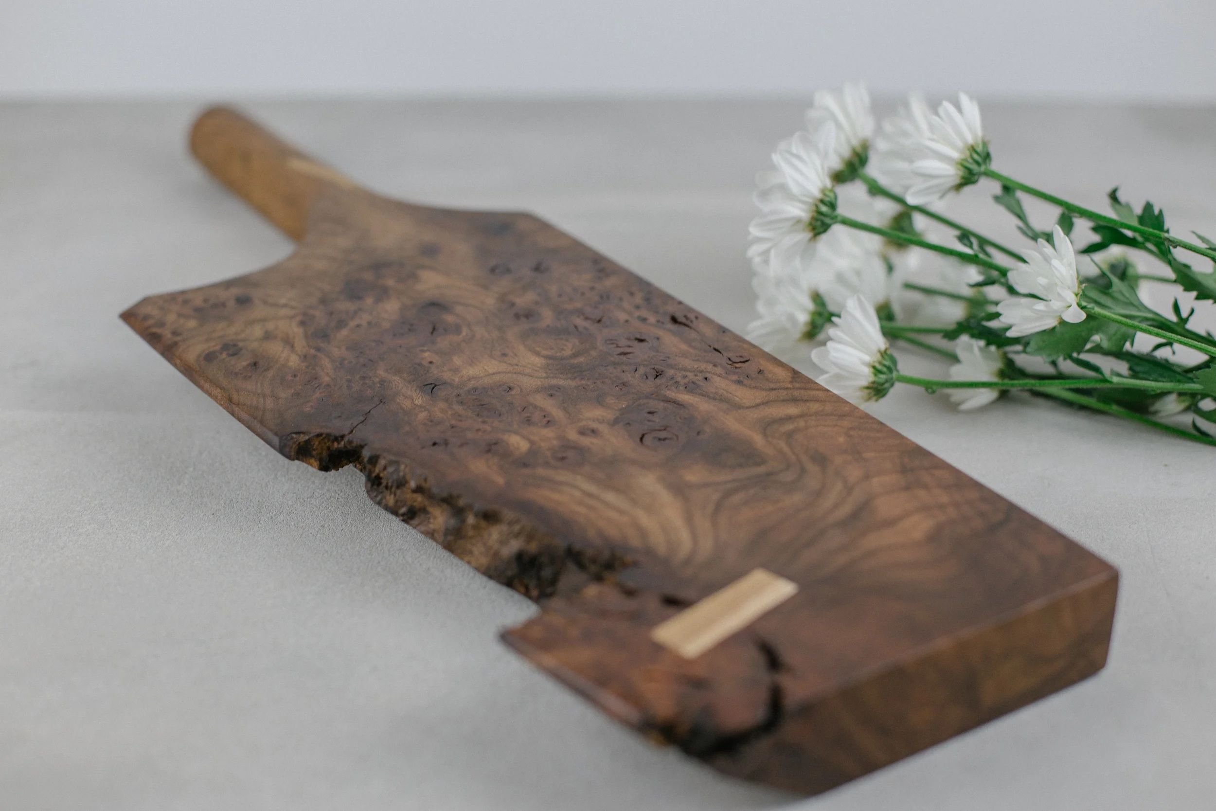 ash elm lp-2915.jpg