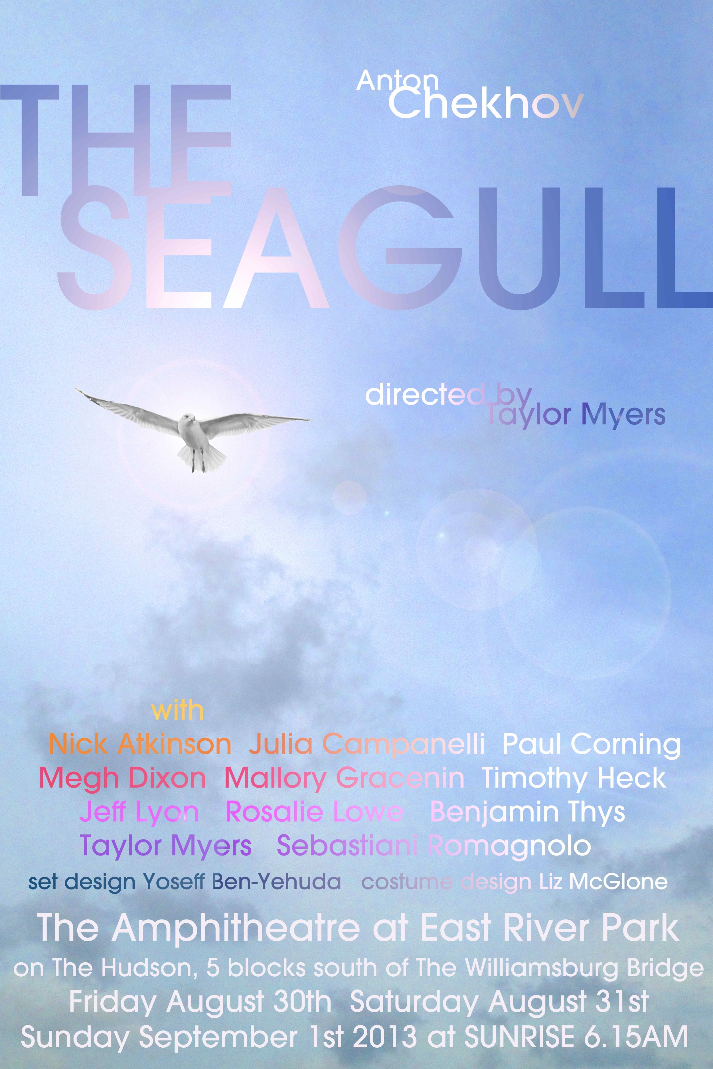 The Seagull