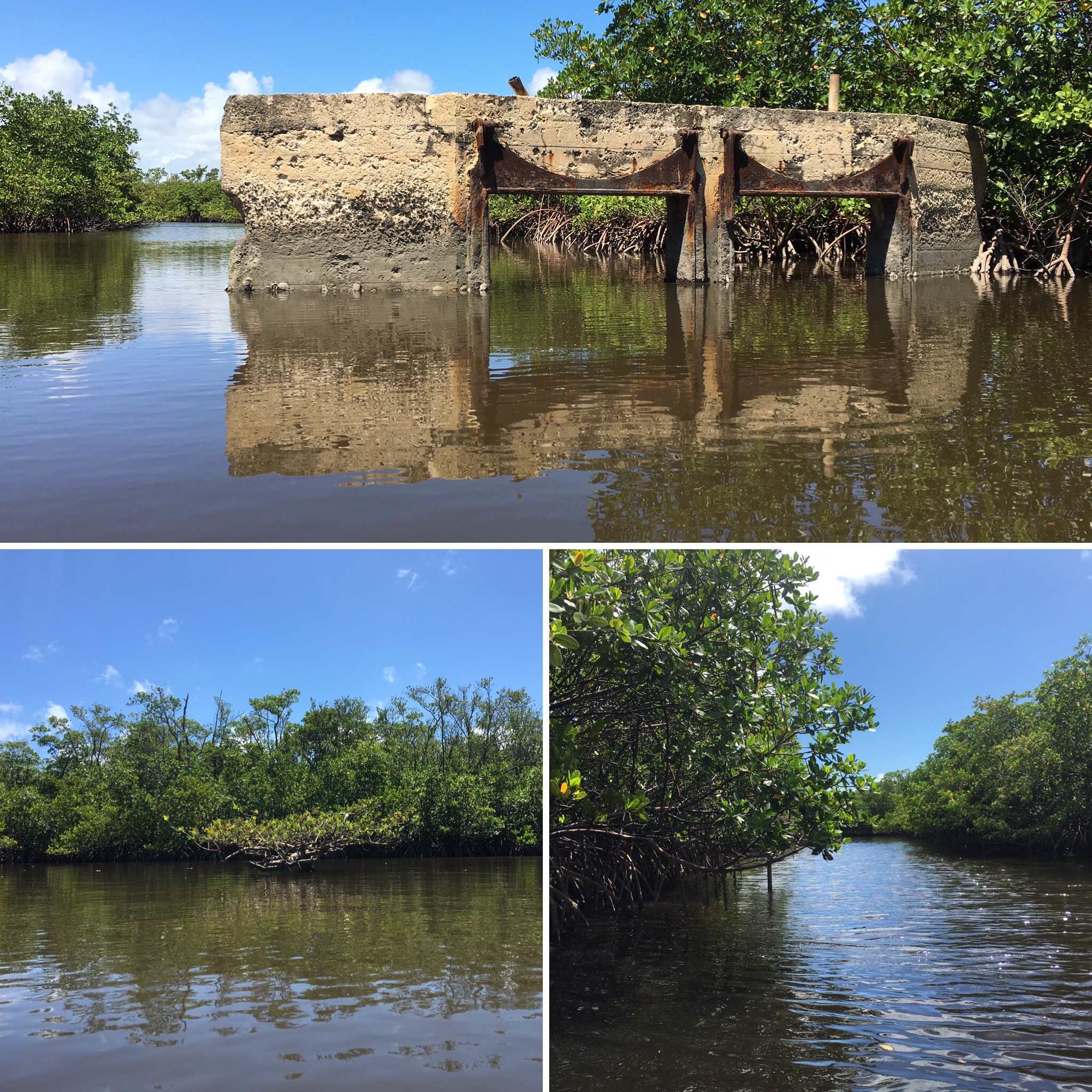 Anne Kolb West Lake Park