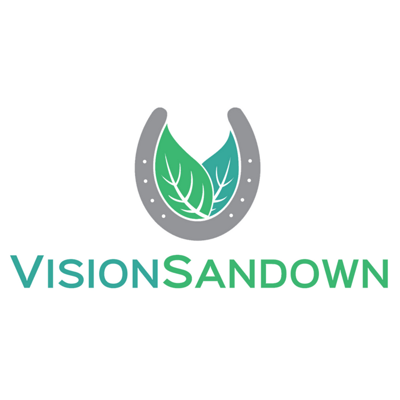 Vision Sandown