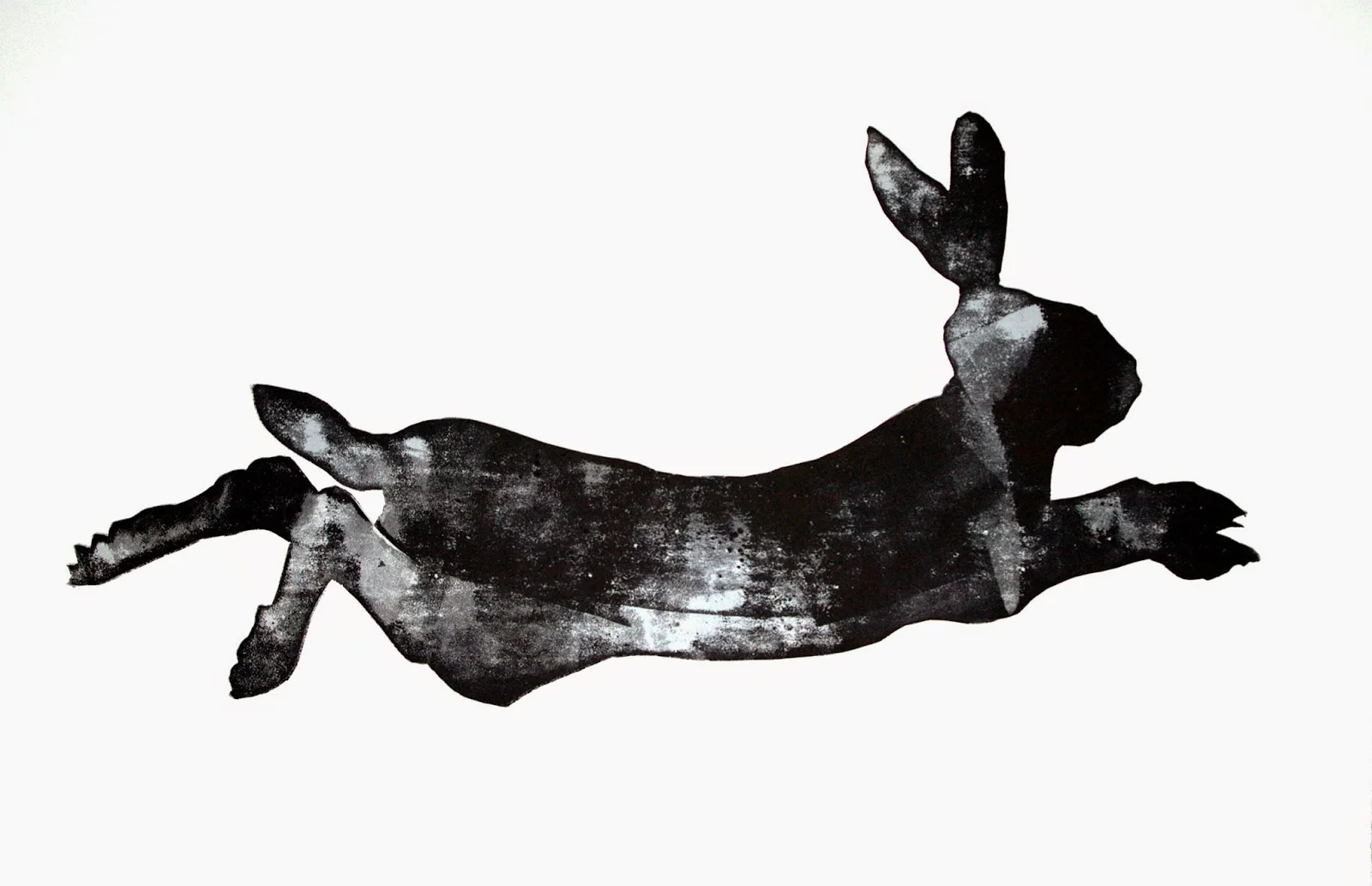 hare.jpg