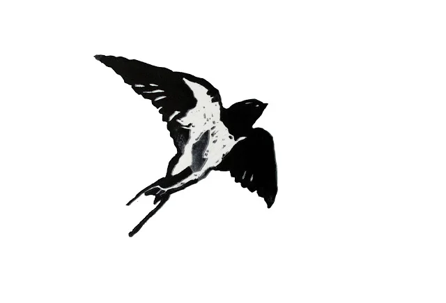 swallow3.jpg