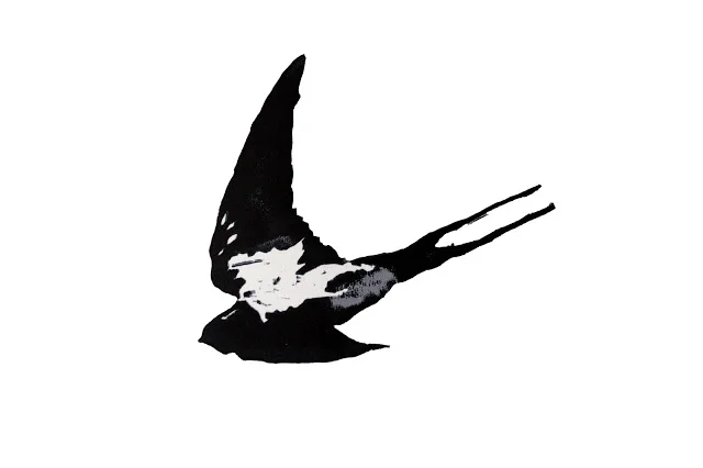 swallow2.jpg