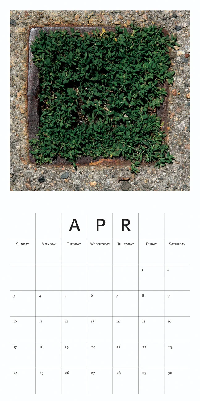 4_APR.jpg