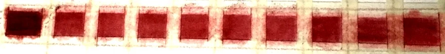 The full strength Permanent Red is in the first square on the left. The other squares are a half-tone of that color. You can see that the squares on the right are still too saturated and need to be lightened. Square #5 from the left is about right.
