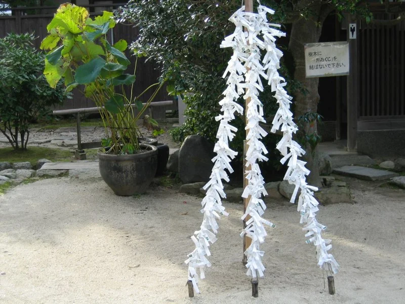 194_9471 Kopie 2.jpg