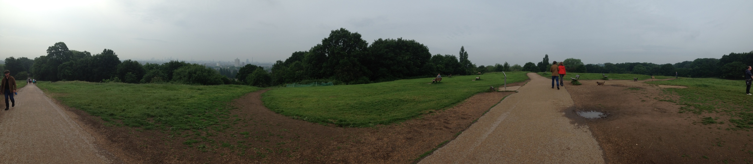 Hampstead heath panorama