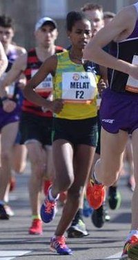 melat.jpg
