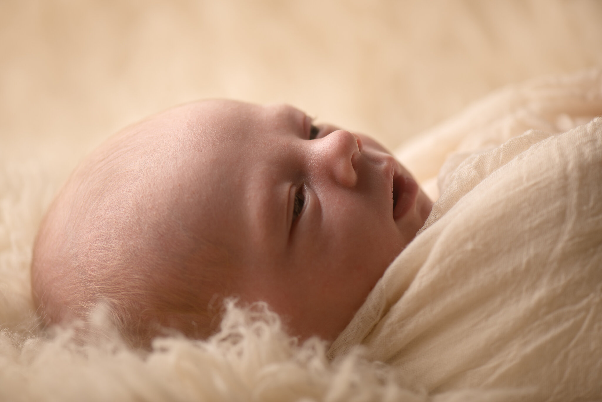 newborn photographer-22.jpg