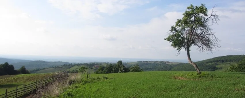 Hilltop of Brother Johns.jpg