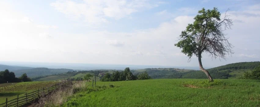 Hilltop of Brother Johns.jpg