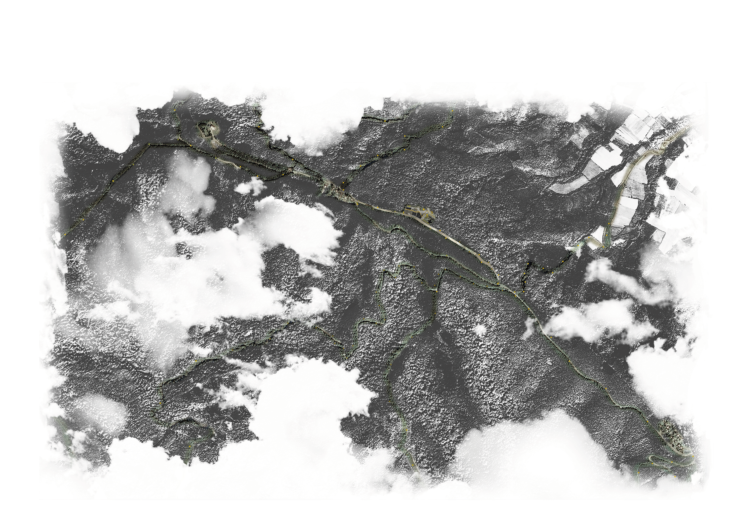 1-5000 site plan.png