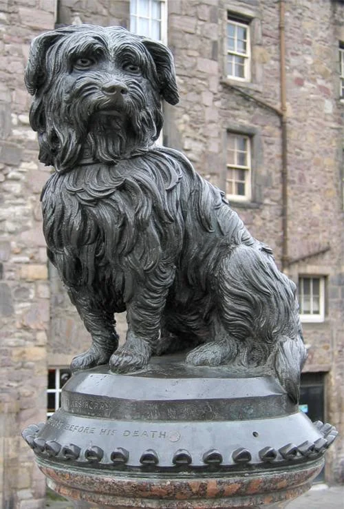 GRAYFRIAR S BOBBY, LEGEND HAS IT, GUARDED HIS MASTER'S GRAVE FOR 14 YEARS, and IS COMMEMORATED BY THIS STATUE IN EDINBURGH