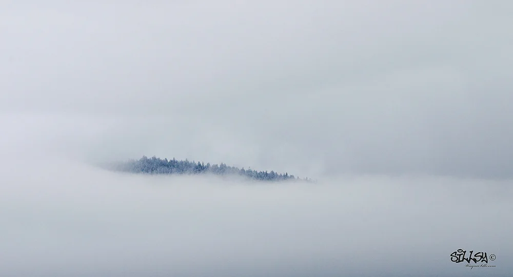 Sillsy Web-Mirage-140126-3076.jpg