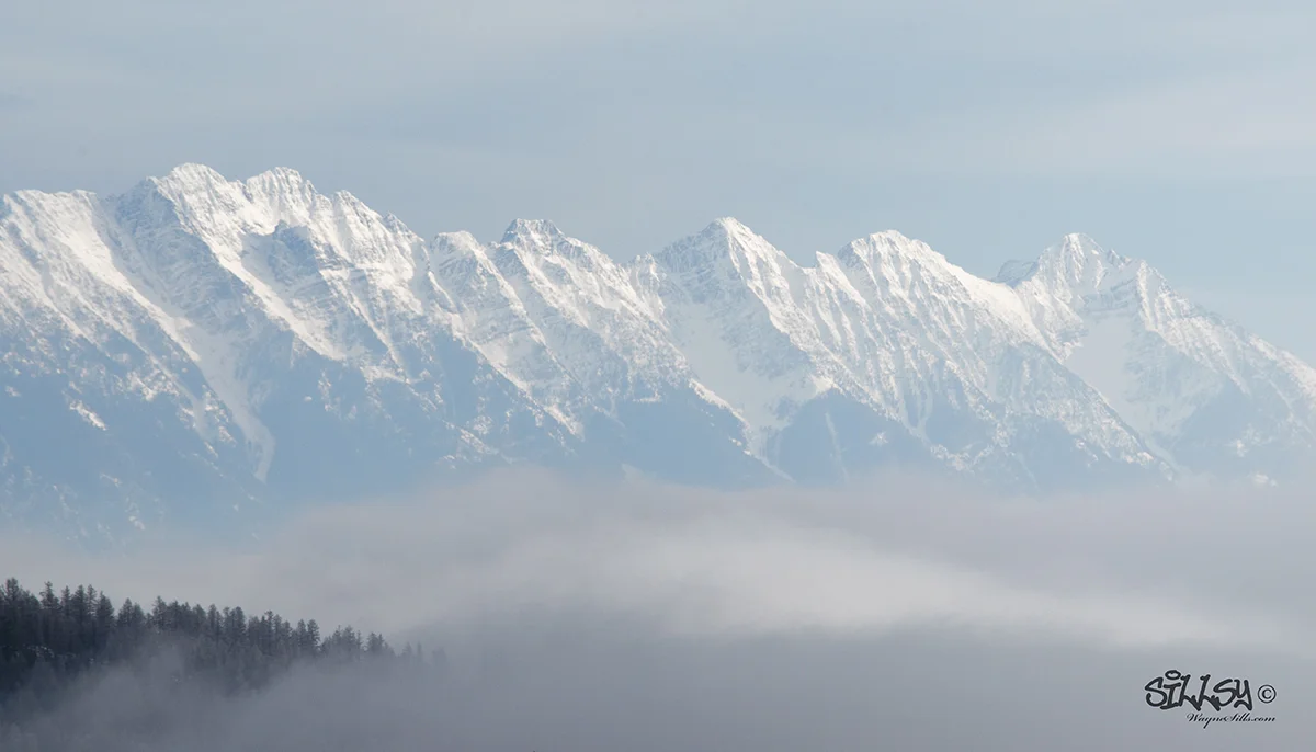 Sillsy-Web-Rockies through the Mist-140119-2933.jpg
