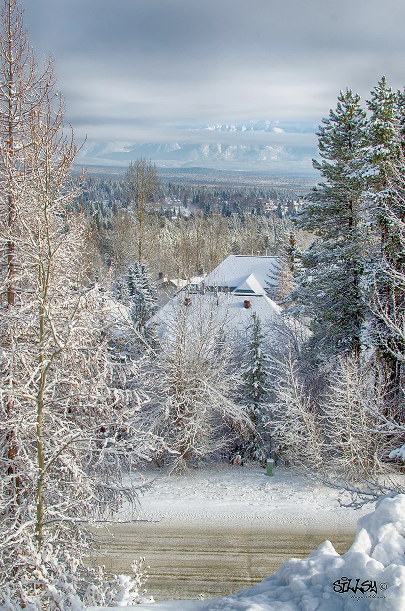 Sillsy-Web-View from Stemwinder-141202-6140a.jpg