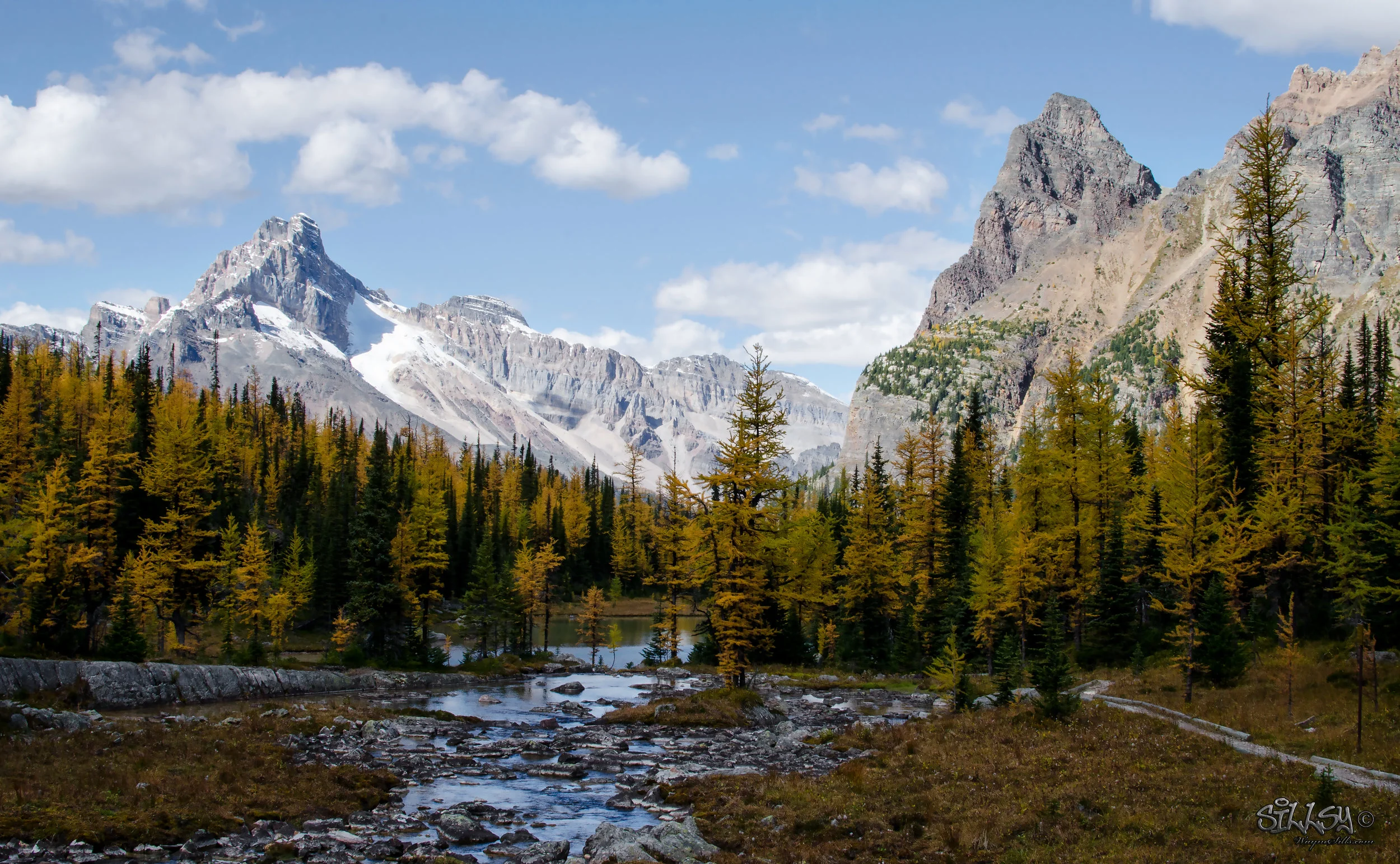 Lake O'Hara XVIII