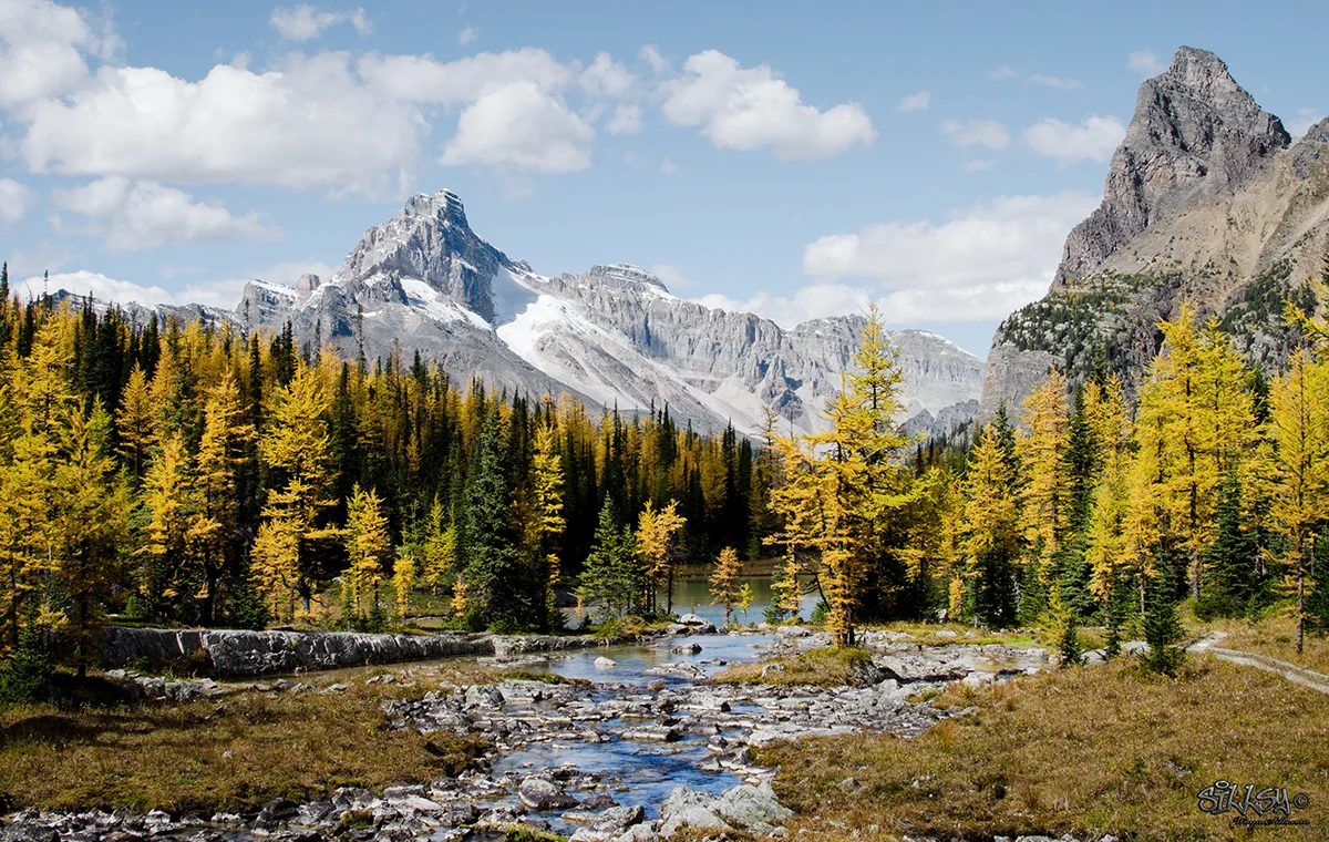 Sillsy-Web-Lake O'Hara XVII-160915-5926-14x20.jpg