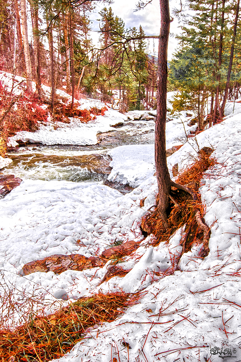 Sillsy-Web-Marysville Falls IV-170323-0244.jpg