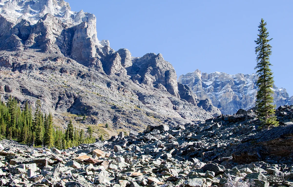 Sillsy-Web-Lake O'Hara III-160914-4664-14x20.jpg