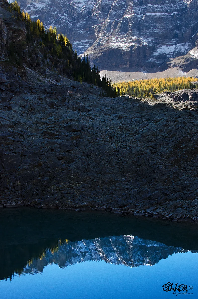 Sillsy-Web-Lake O'Hara IV-160914-4788-14x20.jpg