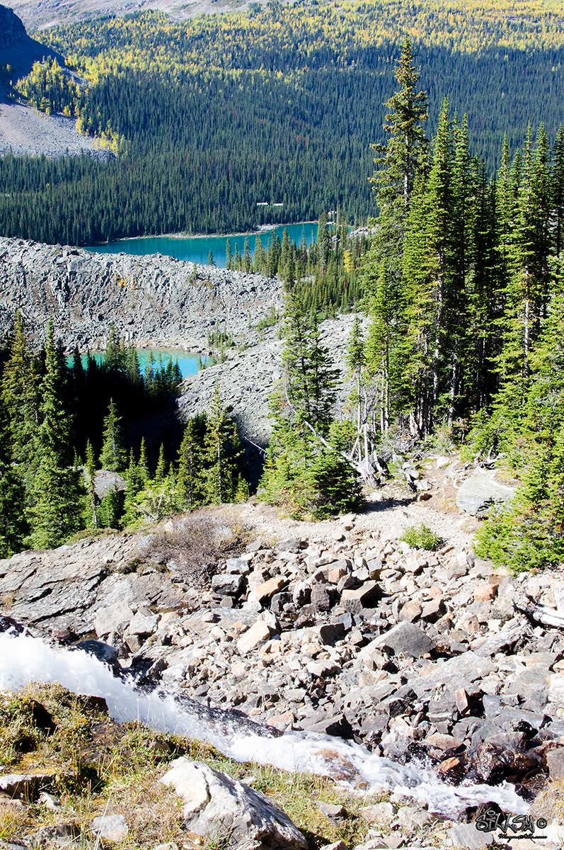 Sillsy-Web-Lake O'Hara VI-160914-4807-14x20.jpg