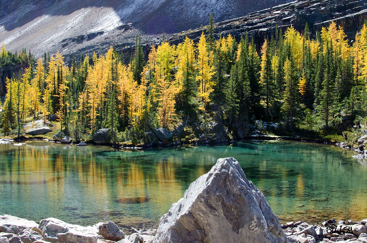Sillsy-Web-Lake O'Hara VII-160914-4813a-11x17.jpg