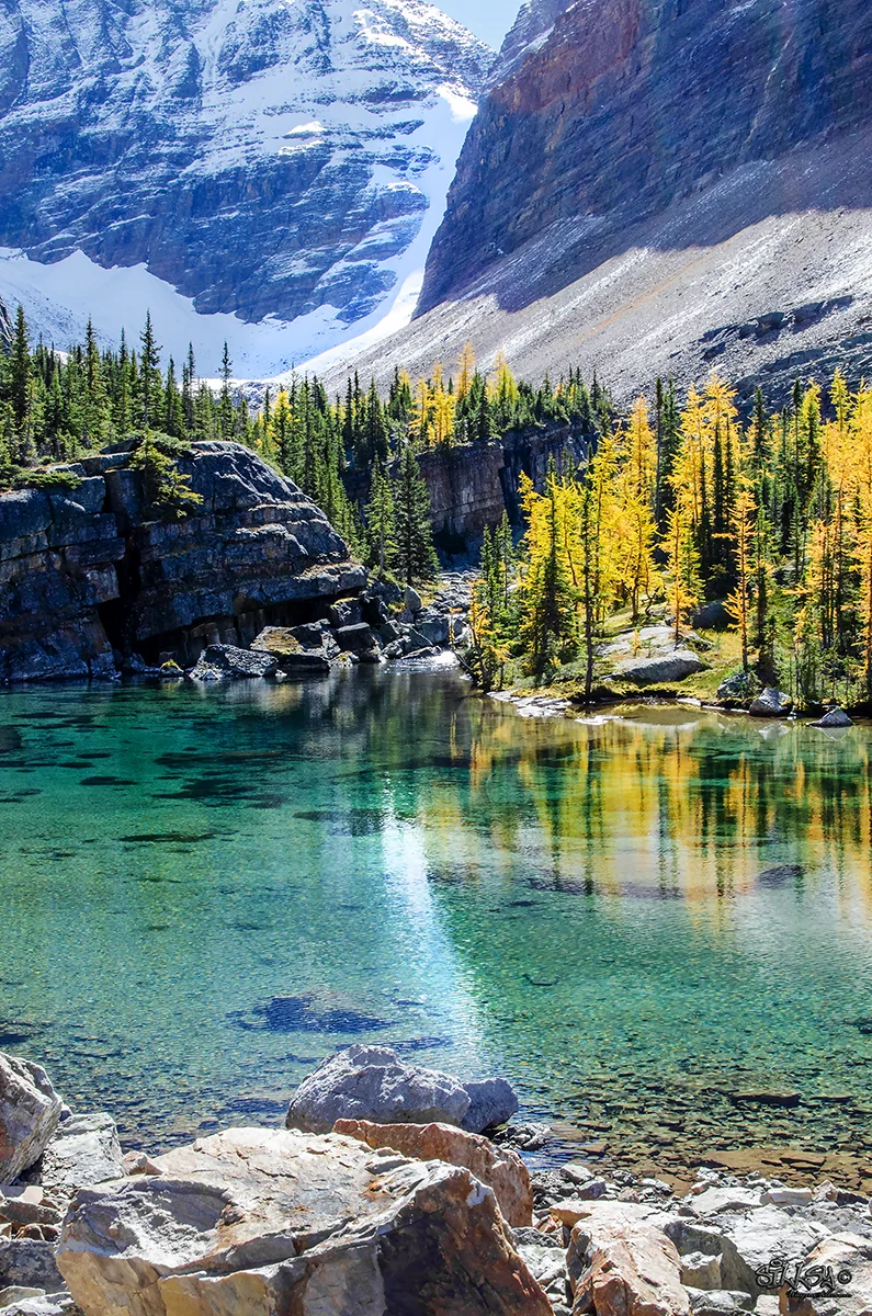 Sillsy-Web-Lake O'Hara VIII-160914-4816a-14x20.jpg