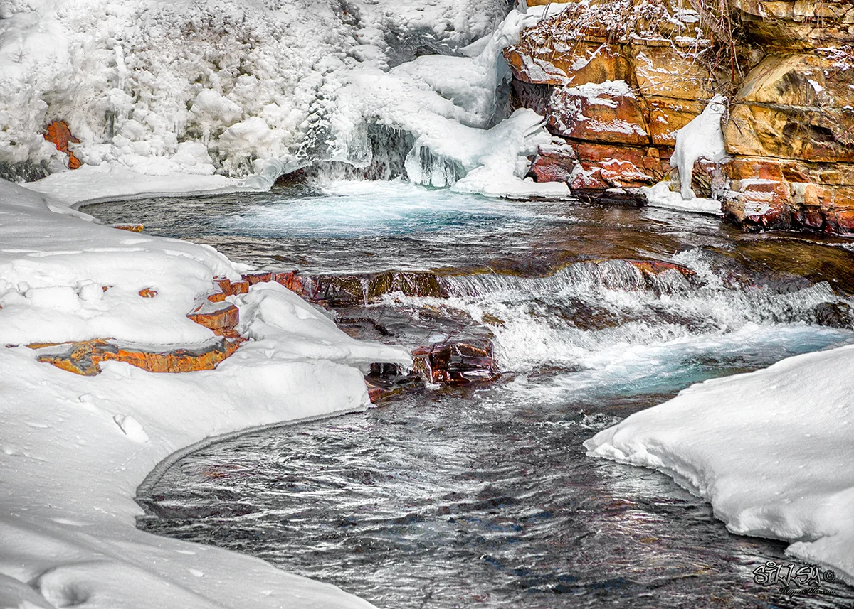 Sillsy-Web-Awakening Creek-150202-6460.jpg