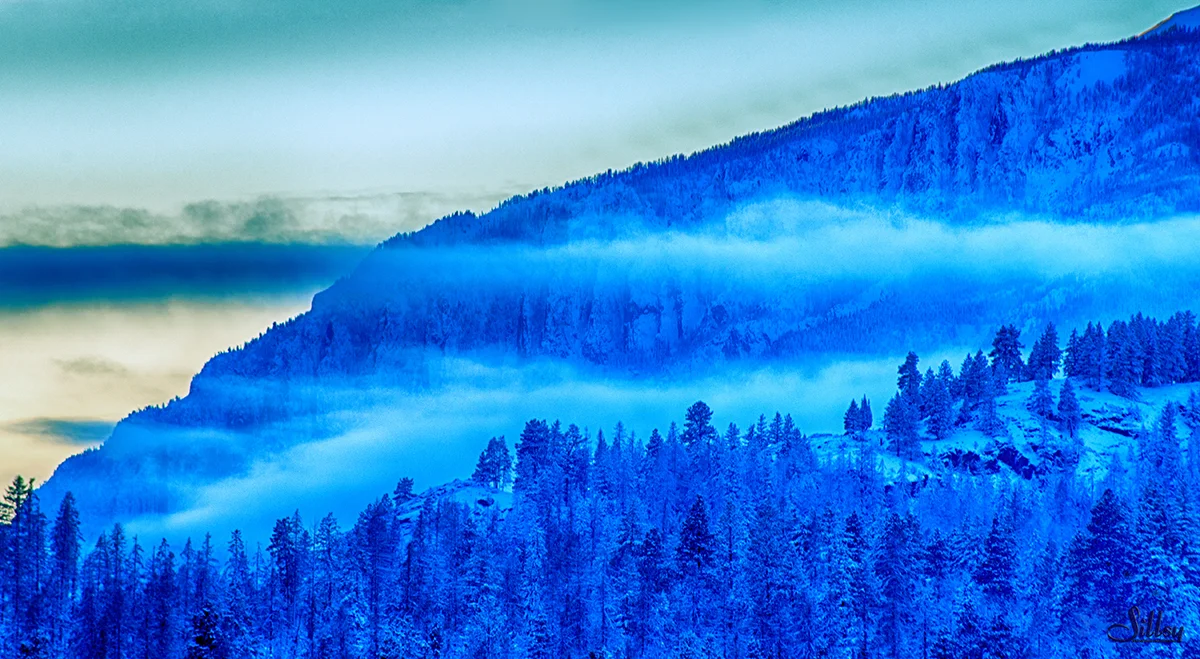 Blue Mountain Mist