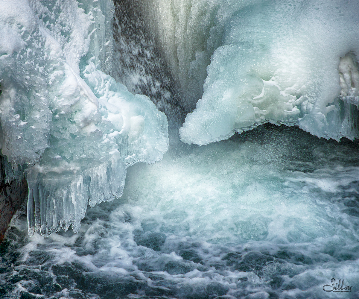 Sillsy-Web-Ice Water I-150202-6426.jpg