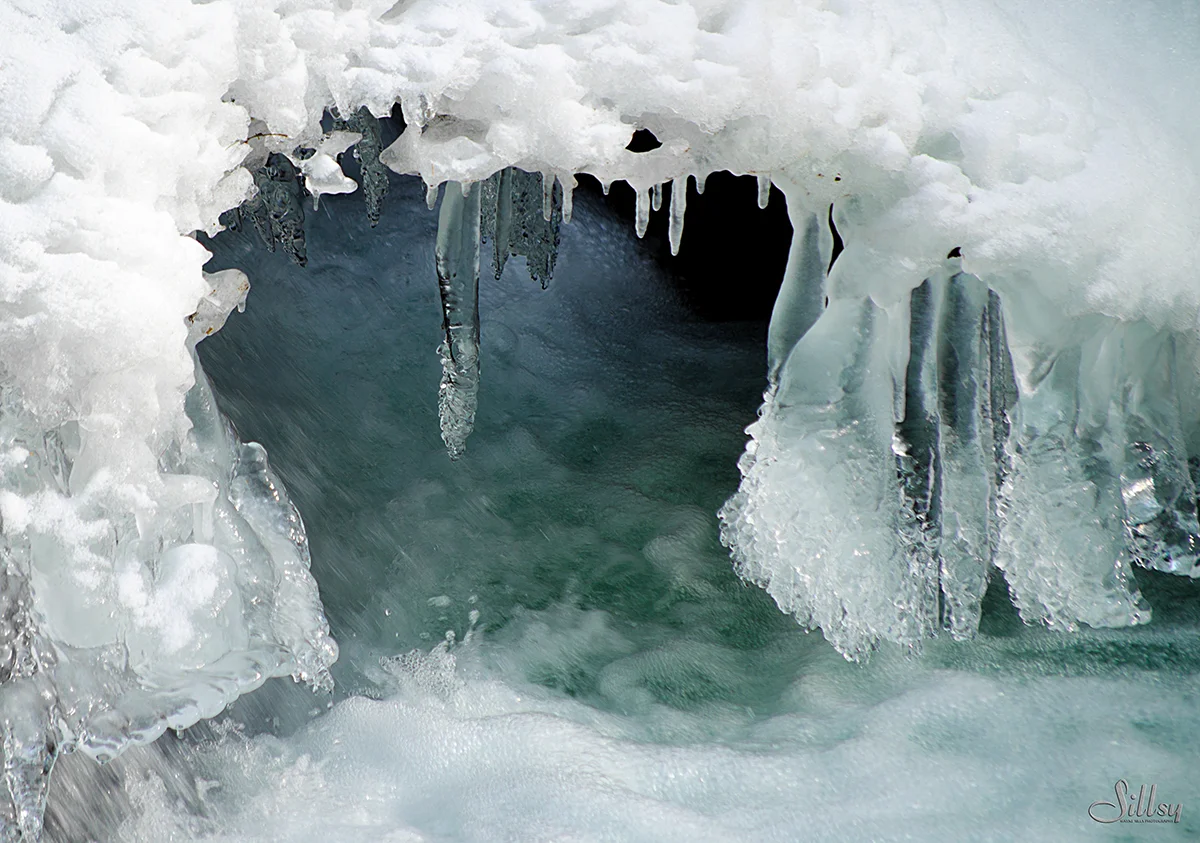 Sillsy-Web-Ice Water II-150202-6466.jpg