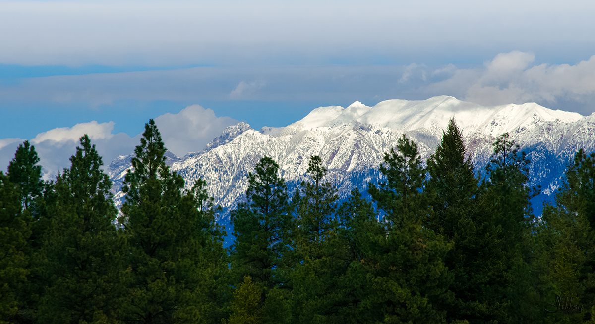 Old Kimberley Airfield I