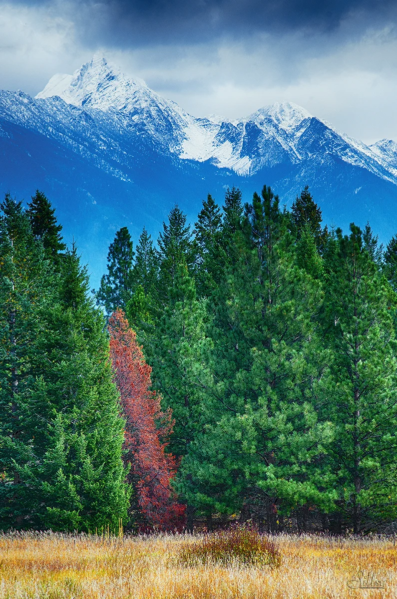 Old Kimberley Airfield II