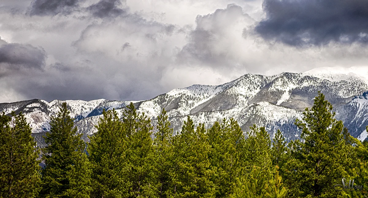 Old Kimberley Airfield III