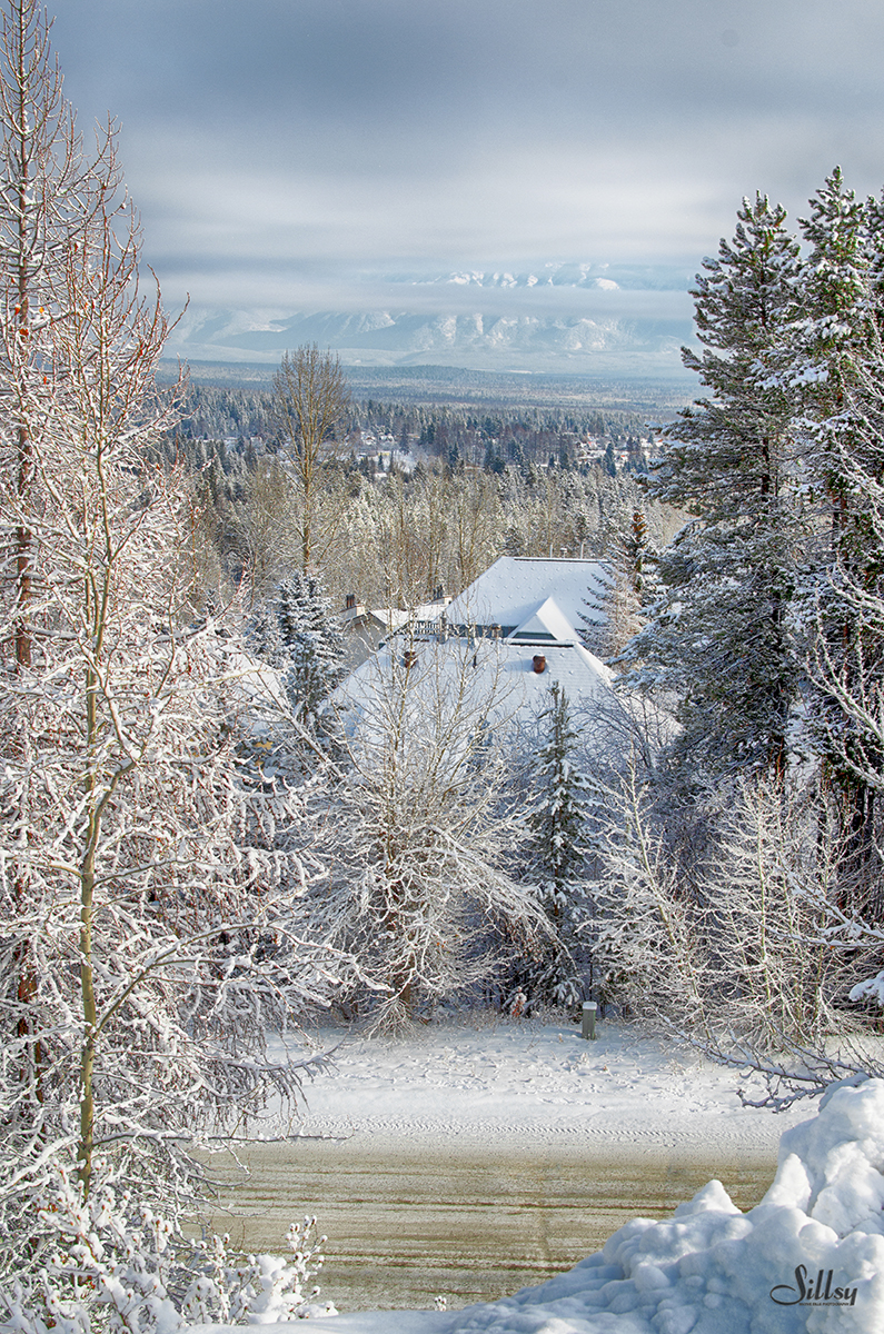 View from Stemwinder