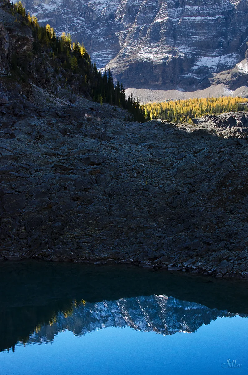 Lake O'Hara IV