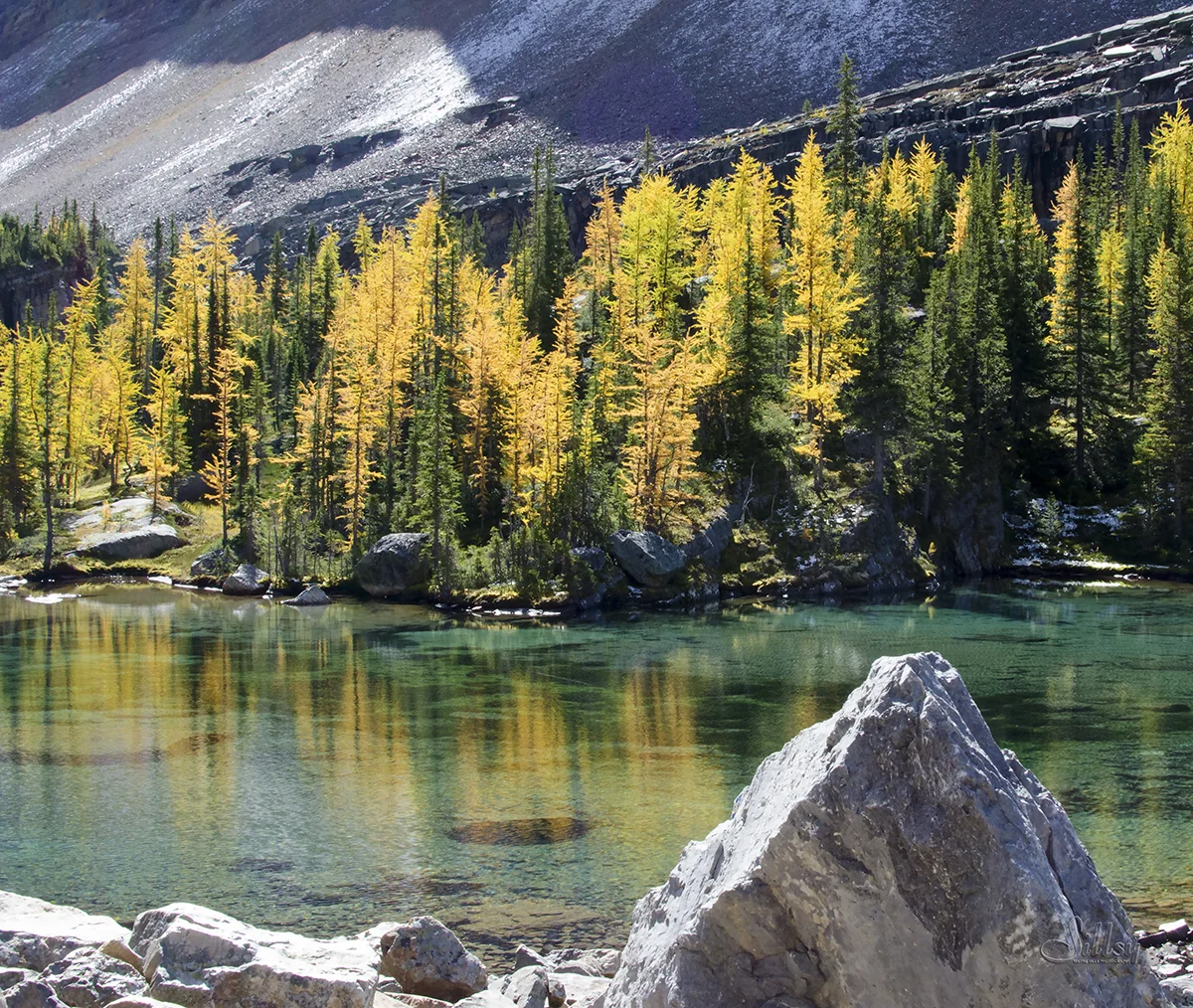 Lake O'Hara VIIa