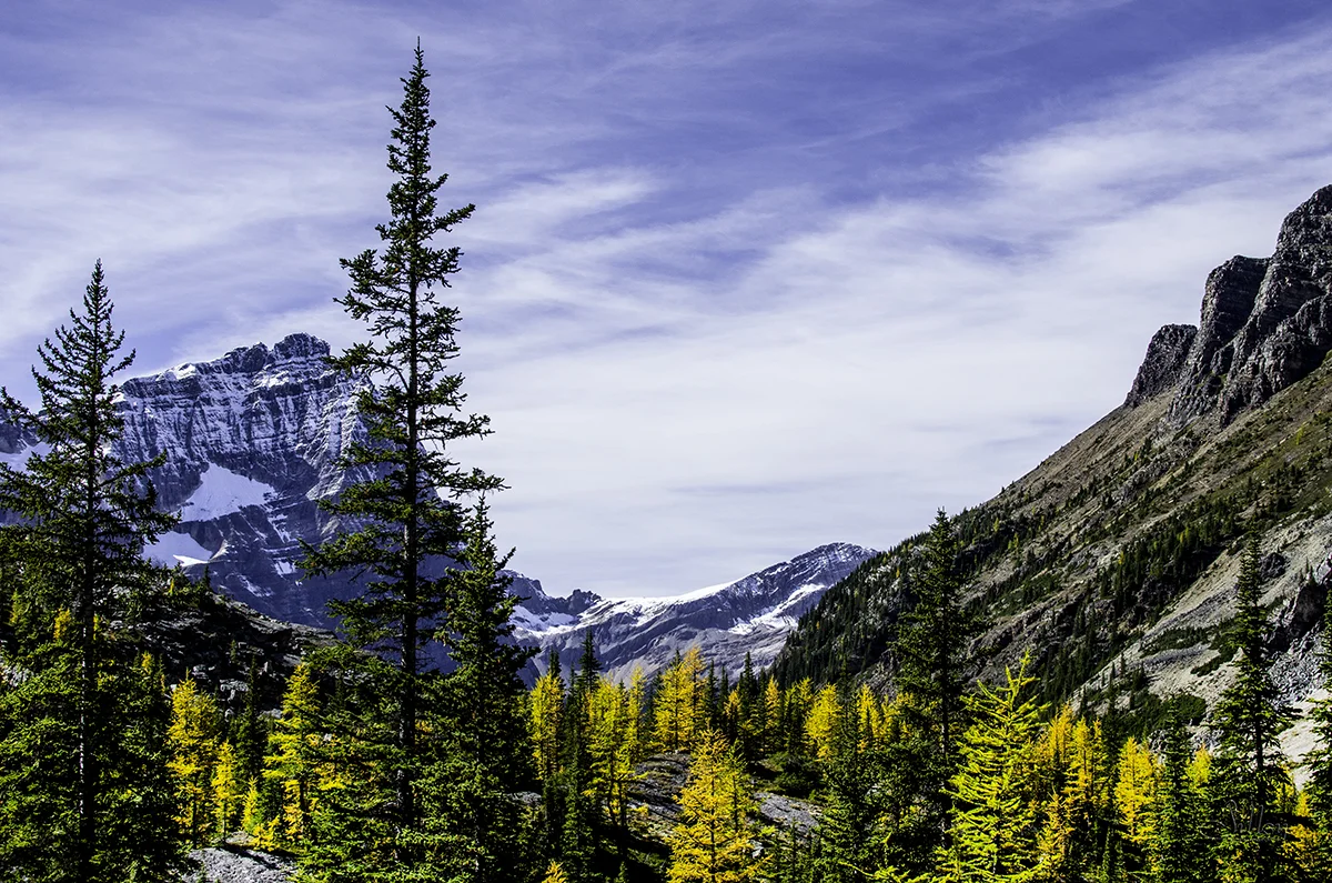 Sillsy-Web-Lake O'Hara IX -160914-5022-14x20.jpg
