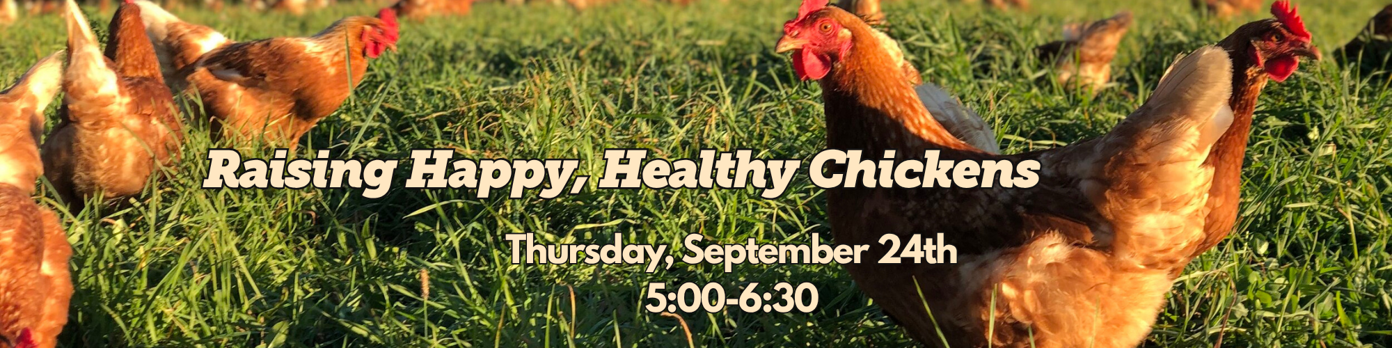 Raising Happy, Healthy Chickens, September 24th
