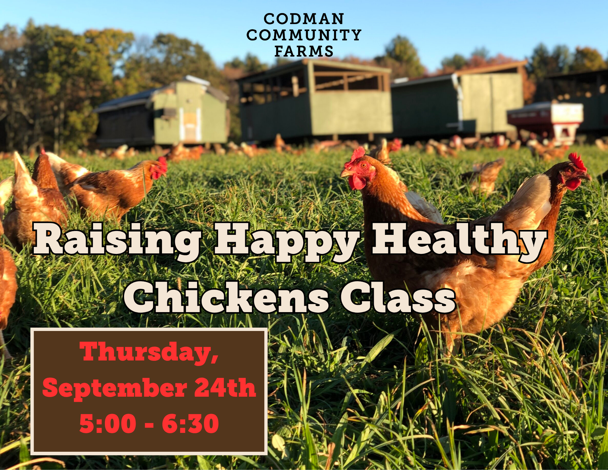 tour de codman (1).png