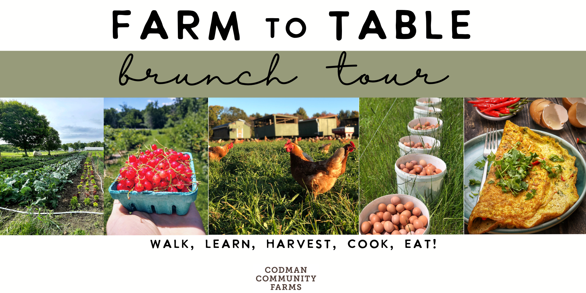 Farm to Table Brunch Tour — Codman Community Farms