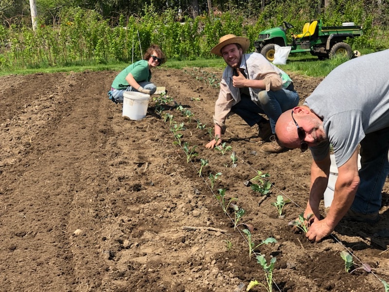  Brian, Kari and Jon enjoying the sun while planting Kohlrabi! 