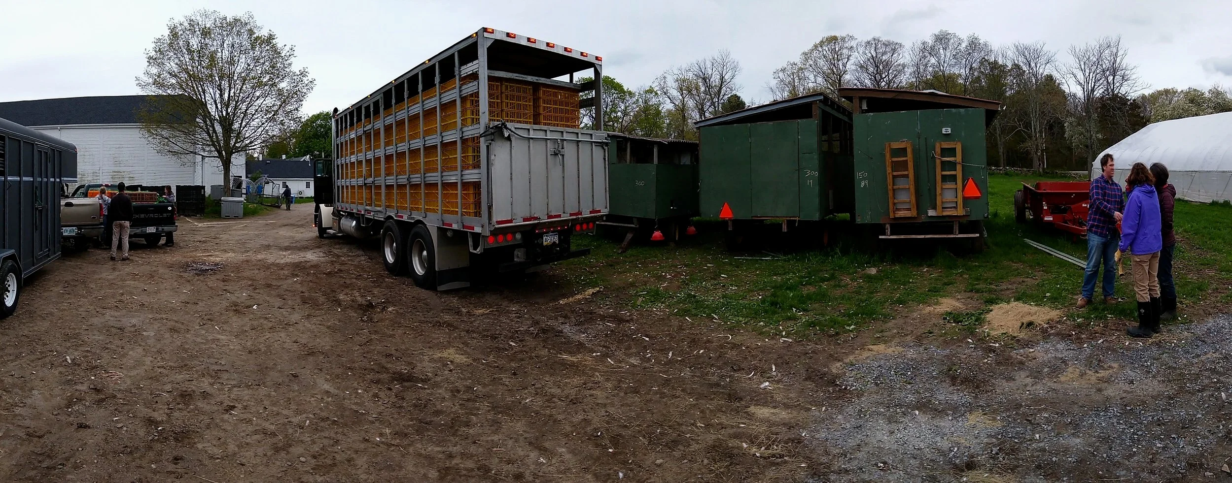 The chicken truck! All the way up from PA, and getting ready to head home.