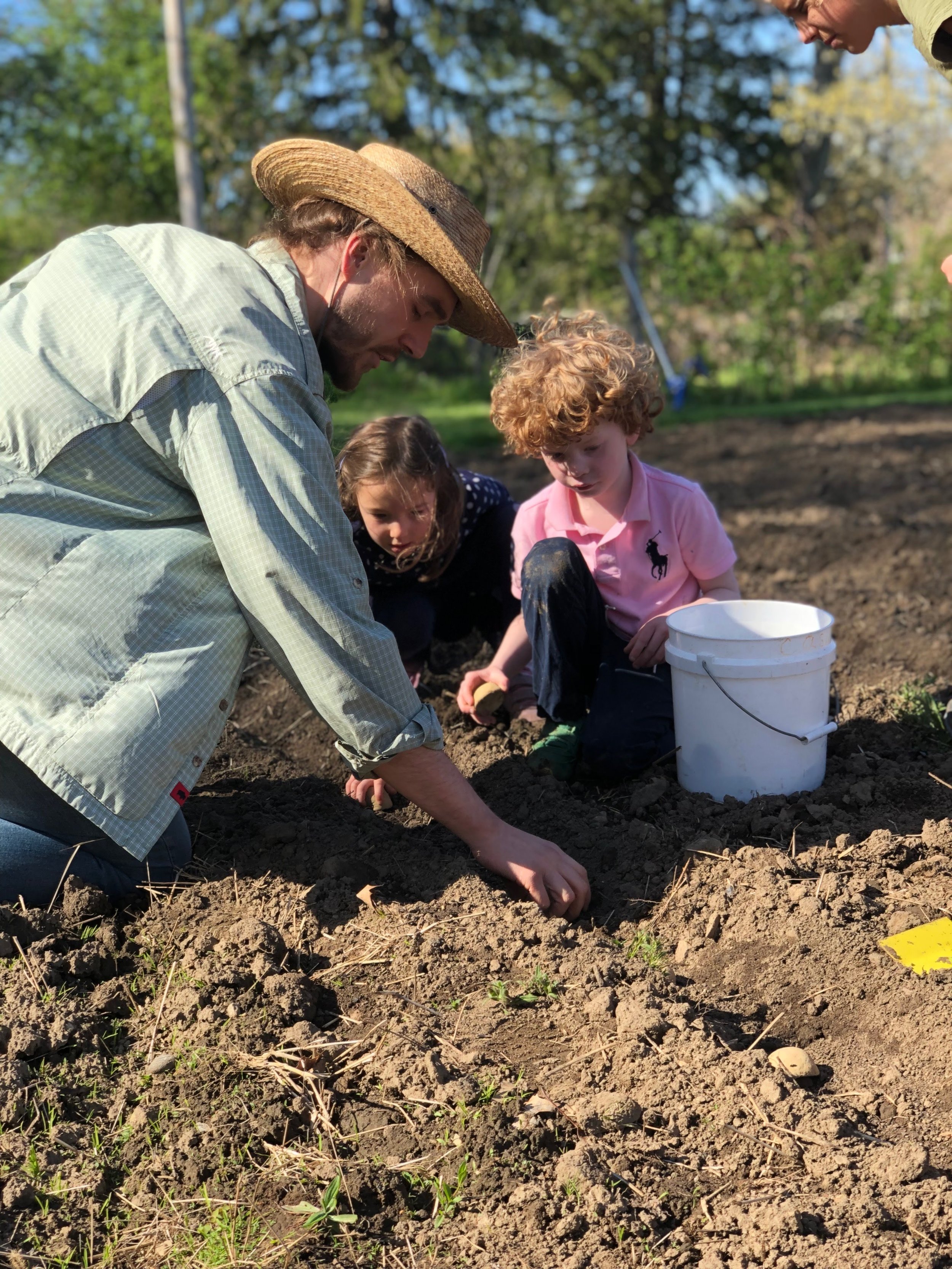 Jon planting seed potatoes with some of the Farmer’s Helpers